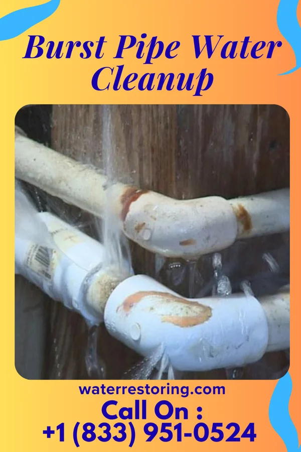 Burst Pipe Water Cleanup in Candor, NC