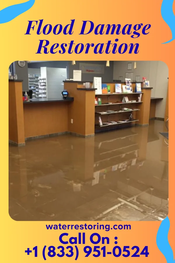 Flood Damage Restoration in Candor, NC