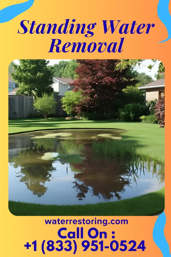 Standing Water Removal in Candor, NC